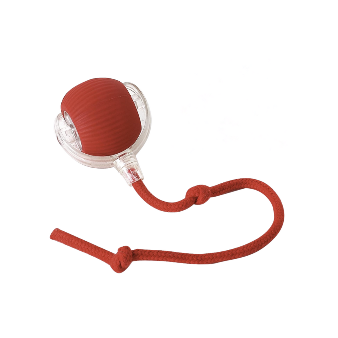 Interactive Ball Toy